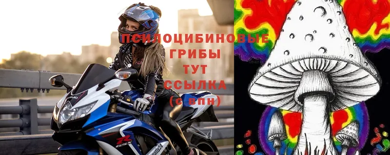 Псилоцибиновые грибы Cubensis  Красноуральск 